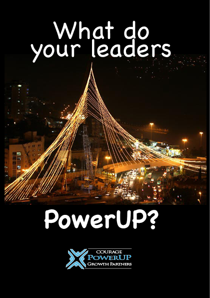 Download What do your leaders PowerUP brochure